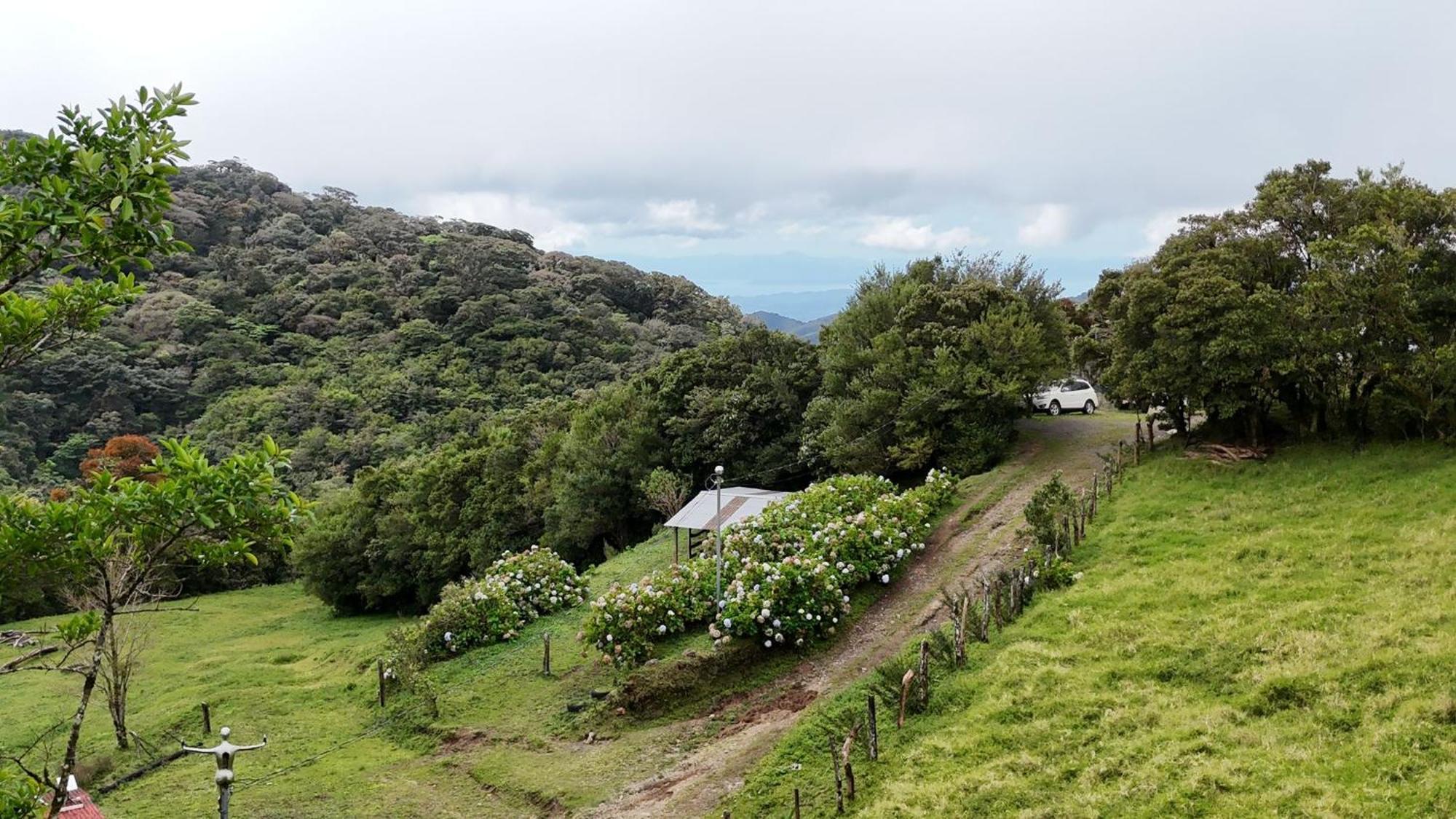 Dadirri House Minicasa Santa Elena Monteverde Dış mekan fotoğraf